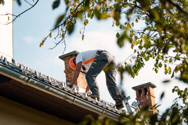 Best Green or Eco-Friendly Roofing Solutions  in Cedarville, OH